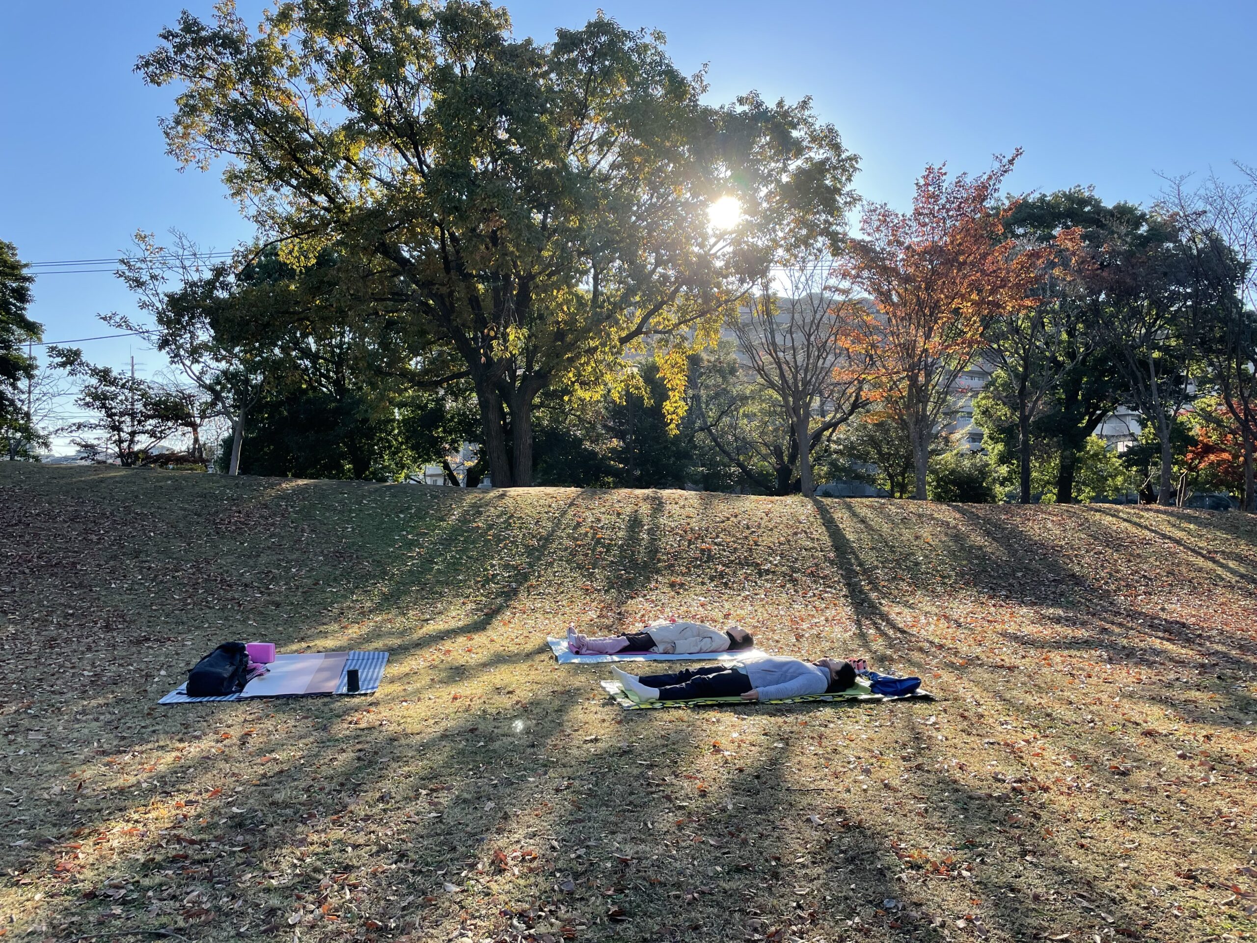 サロン外ヨガ（金井公園朝ヨガ）